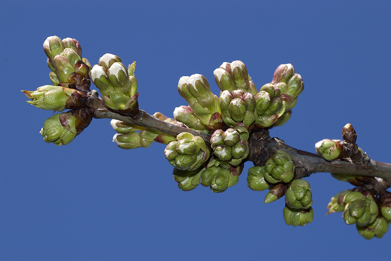 Aria di primavera...